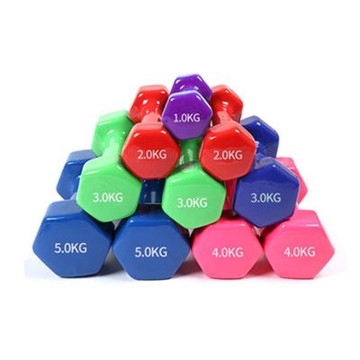 Hexagonal Cast Iron Hex Rubber Dumbbells